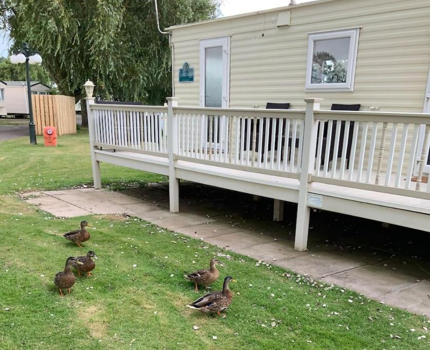 Apartamento Springs Southview Skegness Winthorpe  Exterior foto